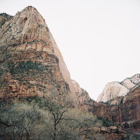 Zion in Winter