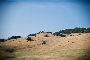 Hills of California